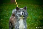 DSC029977