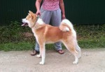 Kibou