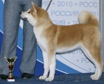 DSC06003